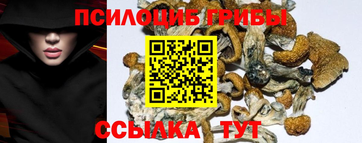 Галлюциногенные грибы мицелий Новотроицк