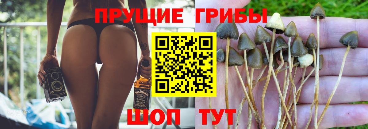 Alpha-PVP СК кристаллы  Новотроицк  Мефедрон кристаллы  ГАШИШ  АМФ   Марихуана  Вход с VPN 